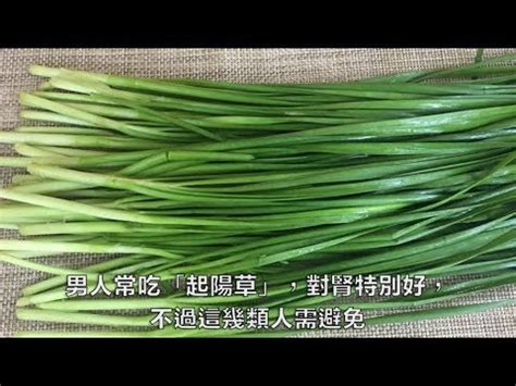 起陽草|它解毒防癌還「起陽」！醫讚：高價值食物